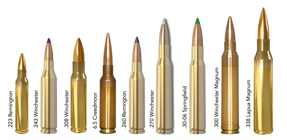 The Best Common Calibers For Long Range Success Pros And Cons 2021